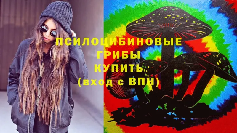 blacksprut ссылка  Высоковск  Галлюциногенные грибы Cubensis  даркнет сайт 